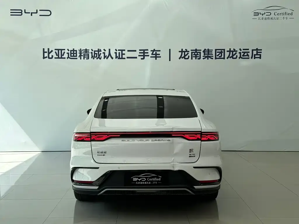 BYD Han 2023 из CN, фото 5
