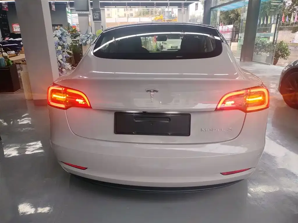 Tesla Model 3 2022 из CN, фото 6