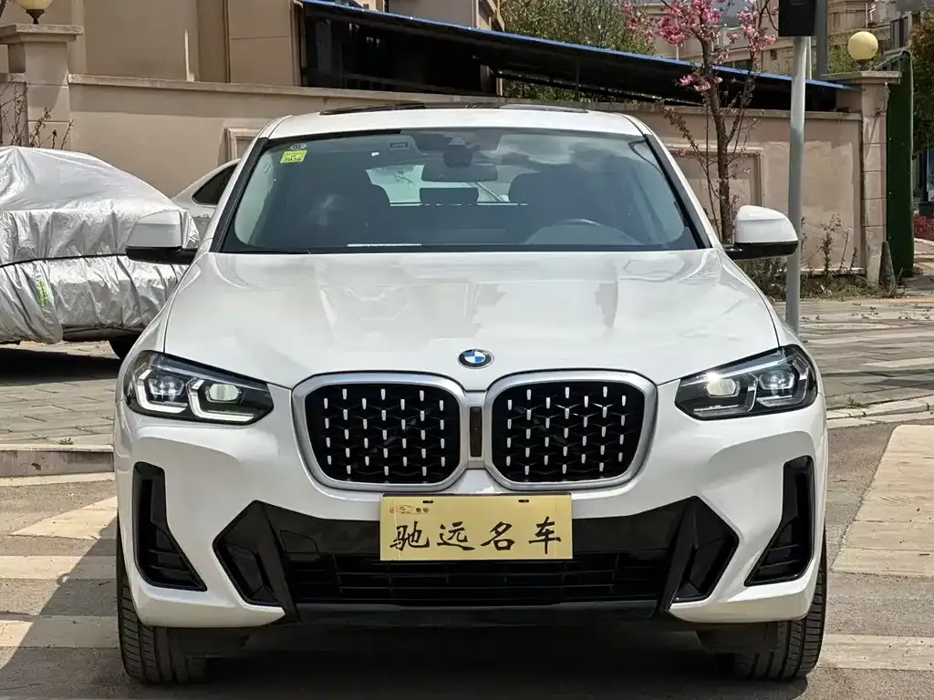 BMW X4 2024 из CN, фото 2