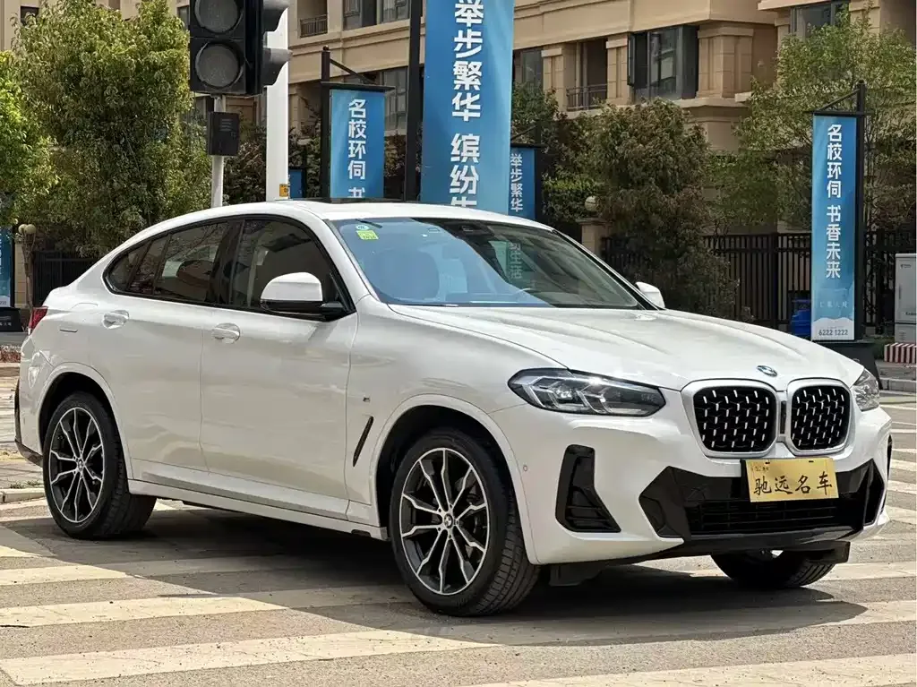 BMW X4 2024 из CN, фото 3