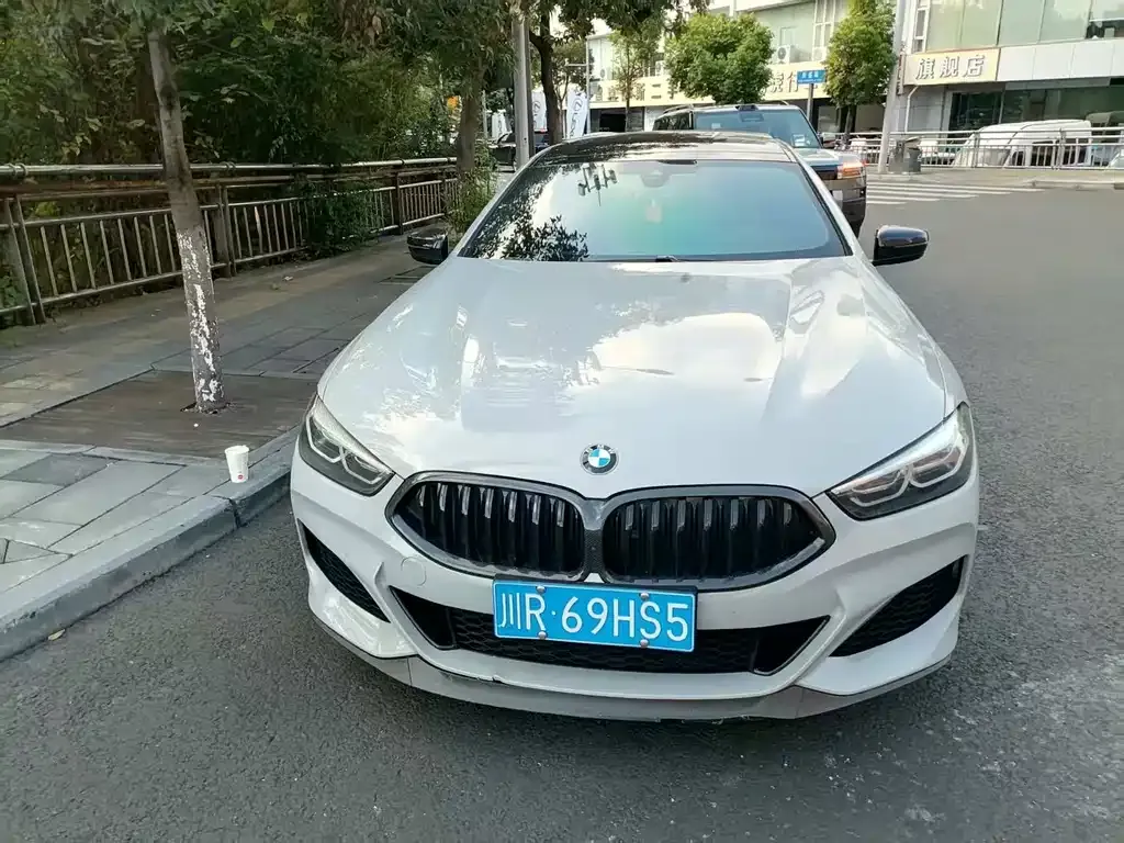 BMW 8 Series 2022 из CN, фото 3