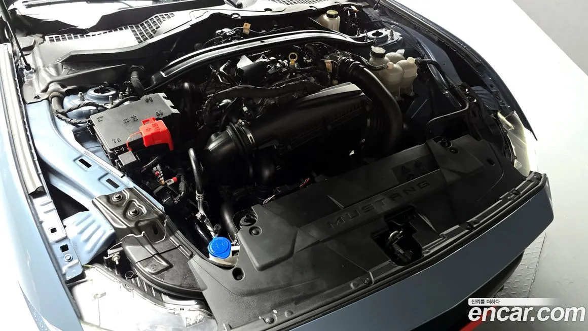 Ford Mustang 2024 из KR, фото 6