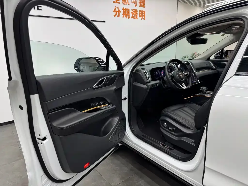 Hongqi HS3 2023 из CN, фото 5