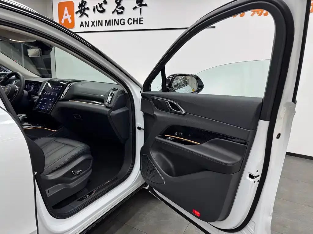 Hongqi HS3 2023 из CN, фото 9