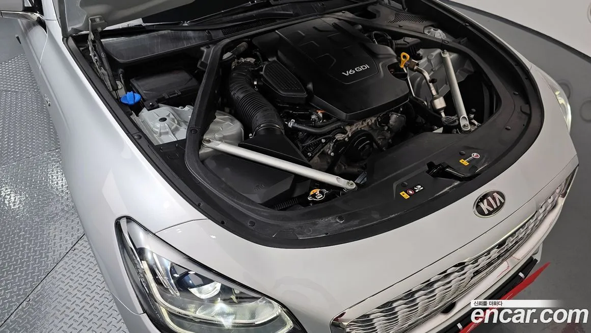 [object Object] K9 2021 из KR, фото 6