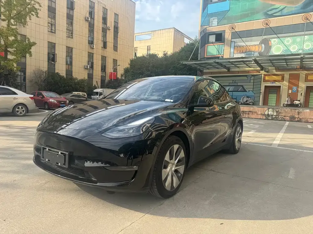 Tesla Model Y 2022 из CN, фото 1
