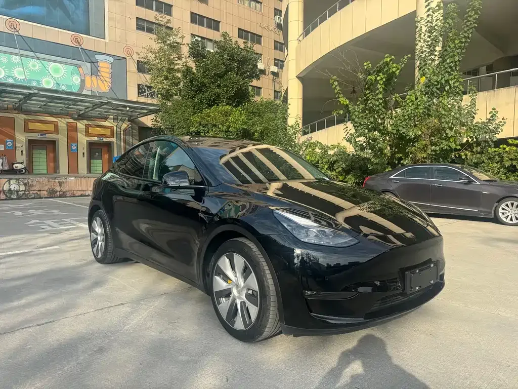 Tesla Model Y 2022 из CN, фото 3