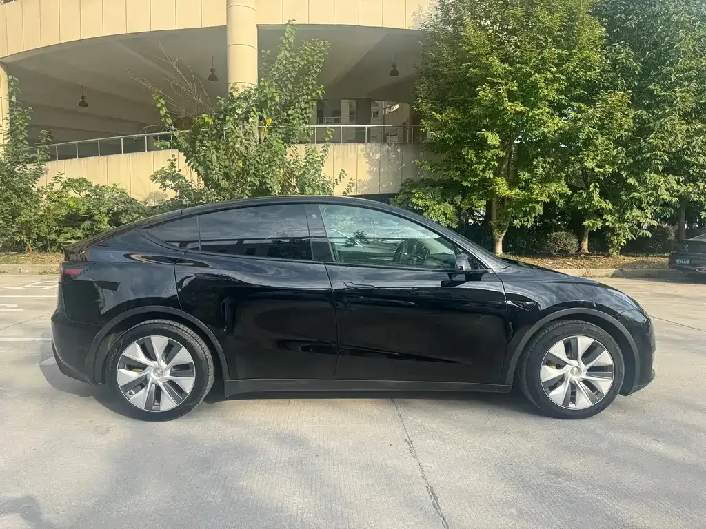 Tesla Model Y 2022 из CN, фото 4
