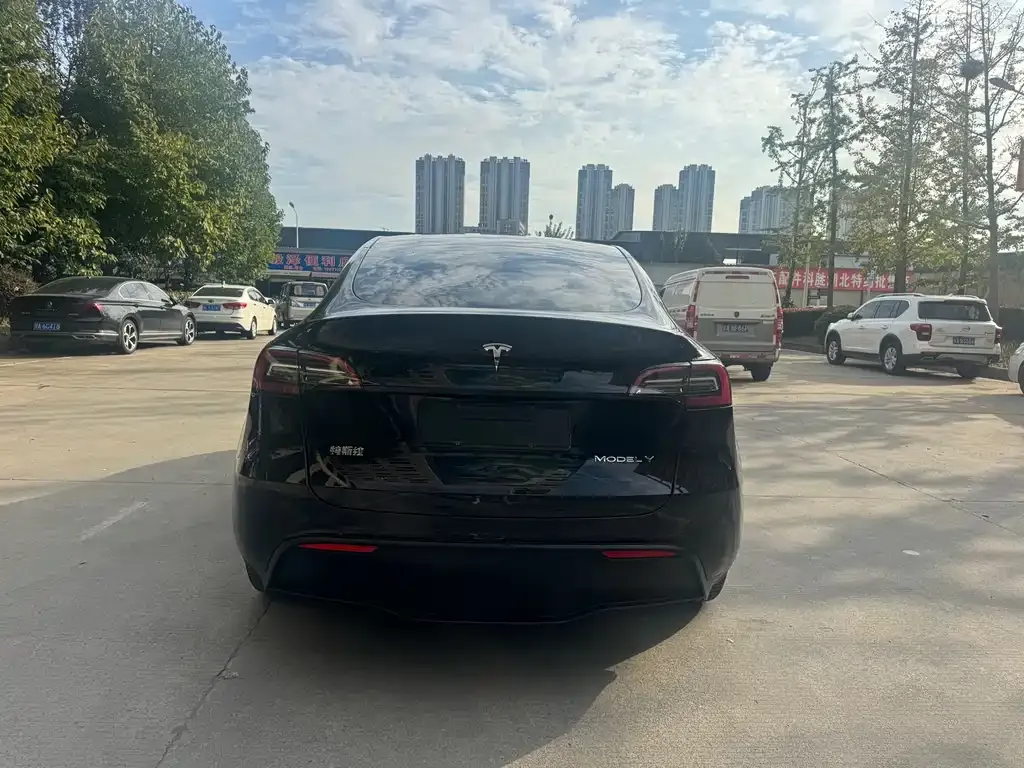 Tesla Model Y 2022 из CN, фото 6