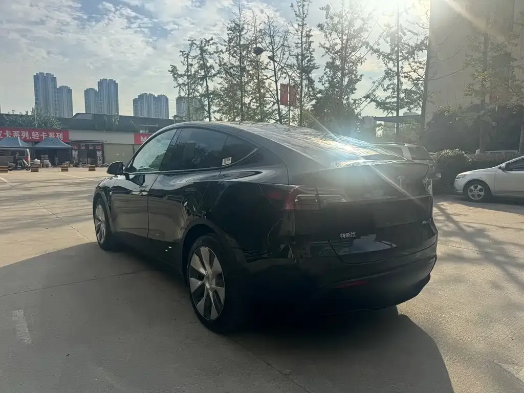 Tesla Model Y 2022 из CN, фото 7