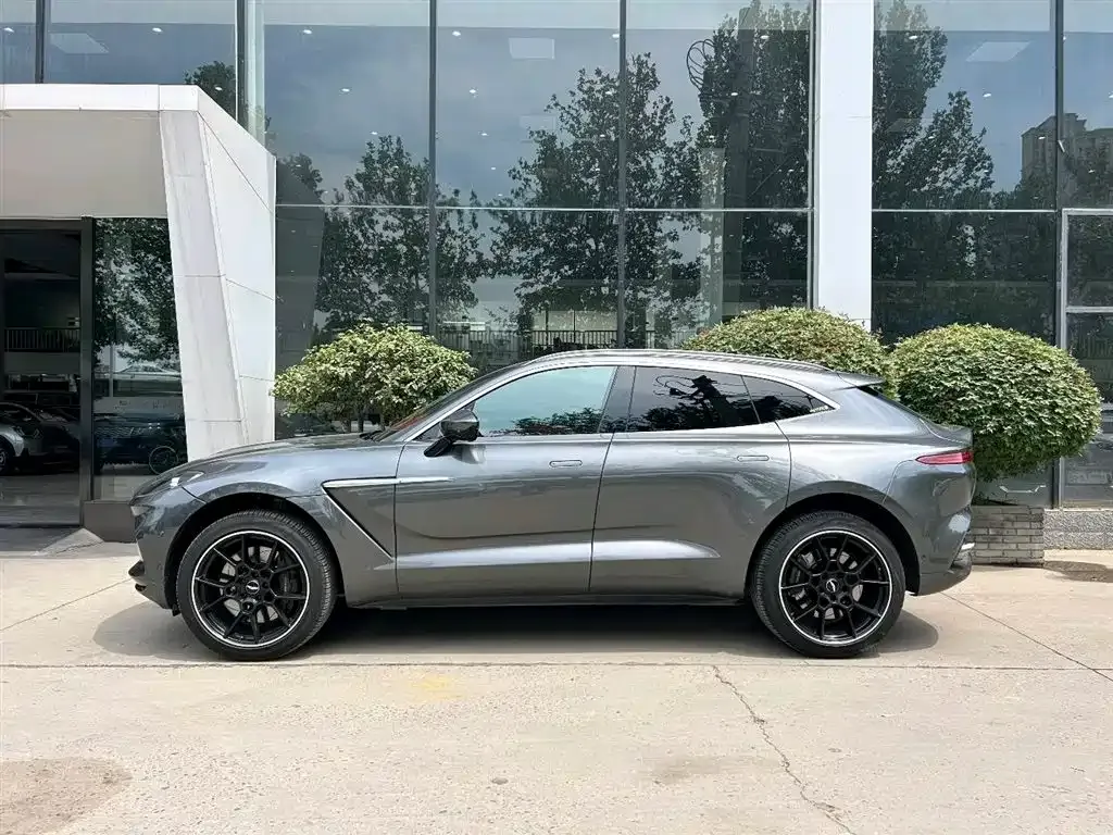 Aston Martin DBX 2021 из CN, фото 3