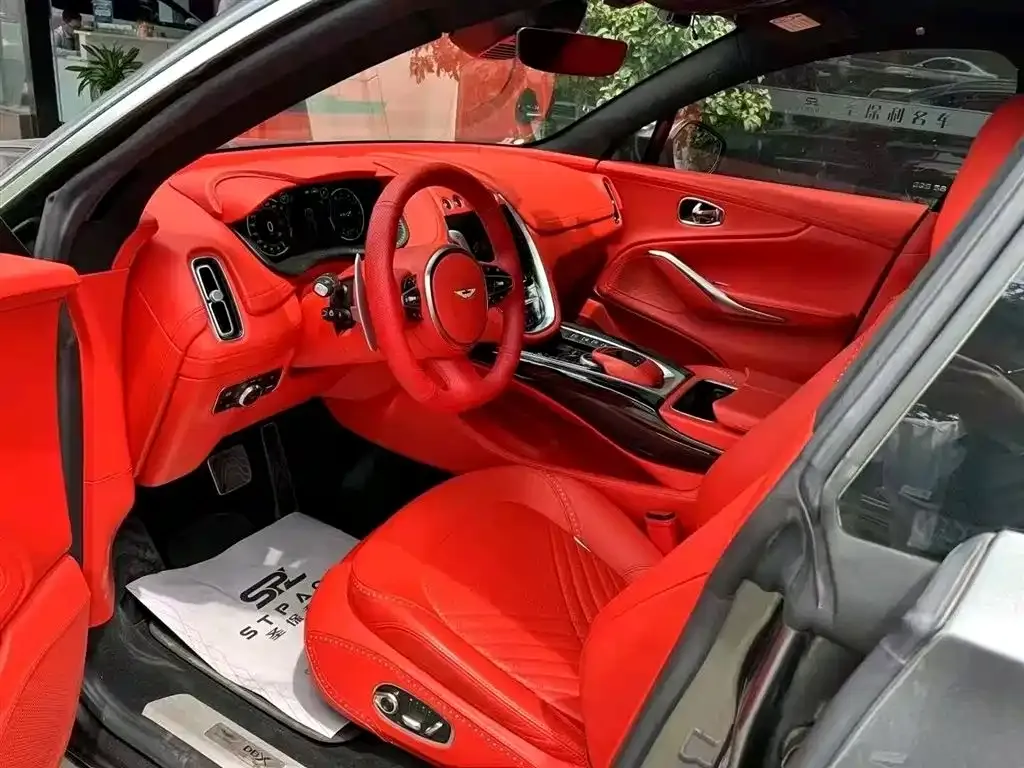 Aston Martin DBX 2021 из CN, фото 4