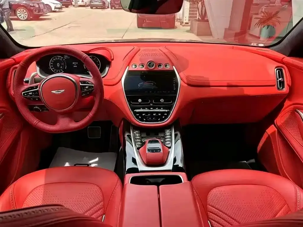 Aston Martin DBX 2021 из CN, фото 5