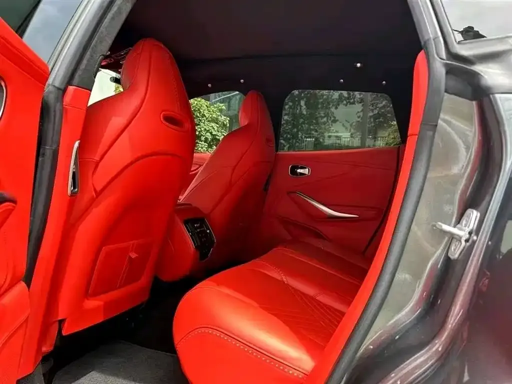 Aston Martin DBX 2021 из CN, фото 6