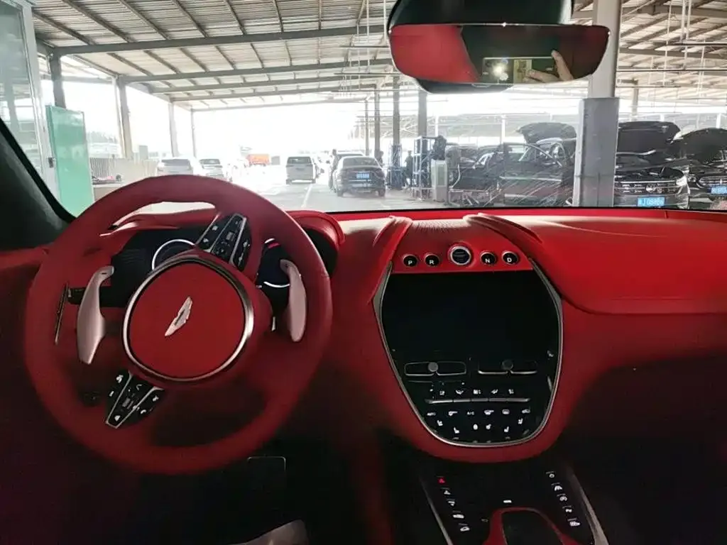 Aston Martin DBX 2021 из CN, фото 7