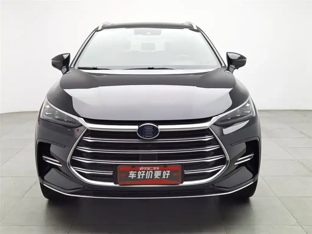 BYD Tang New Energy 2021 из CN, фото 3