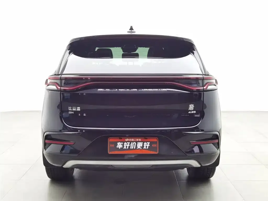 BYD Tang New Energy 2021 из CN, фото 4