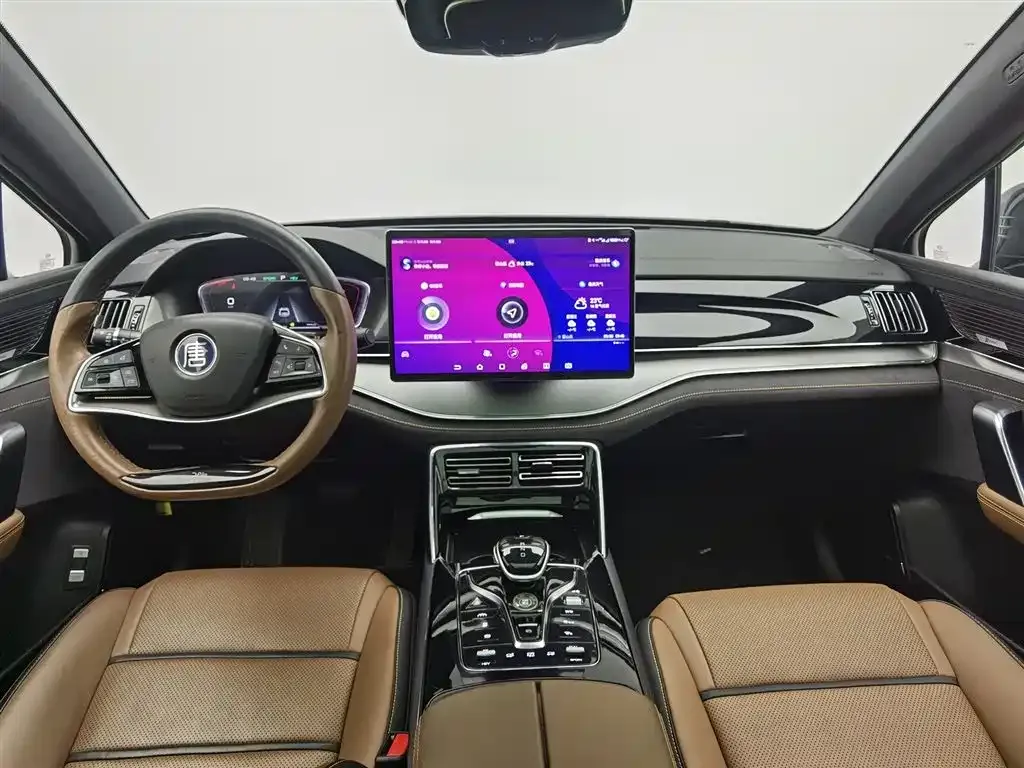 BYD Tang New Energy 2021 из CN, фото 5