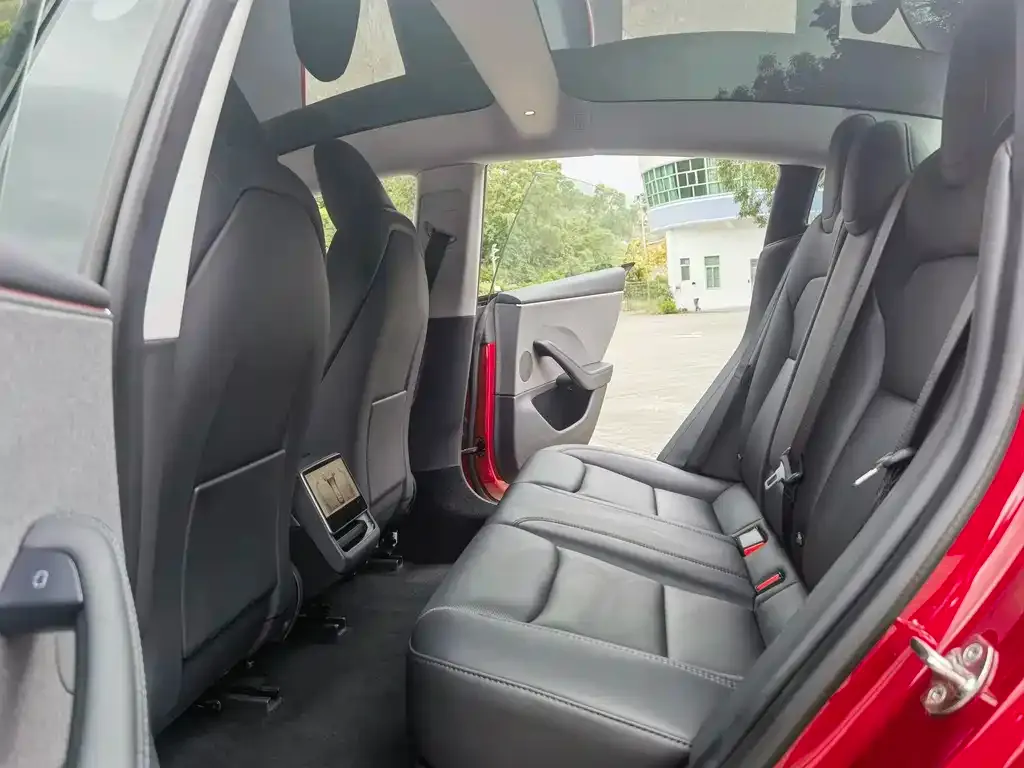 Tesla Model 3 2023 из CN, фото 9
