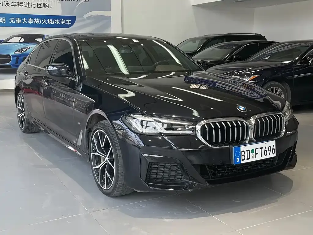 BMW 5 Series 2023 из CN, фото 3