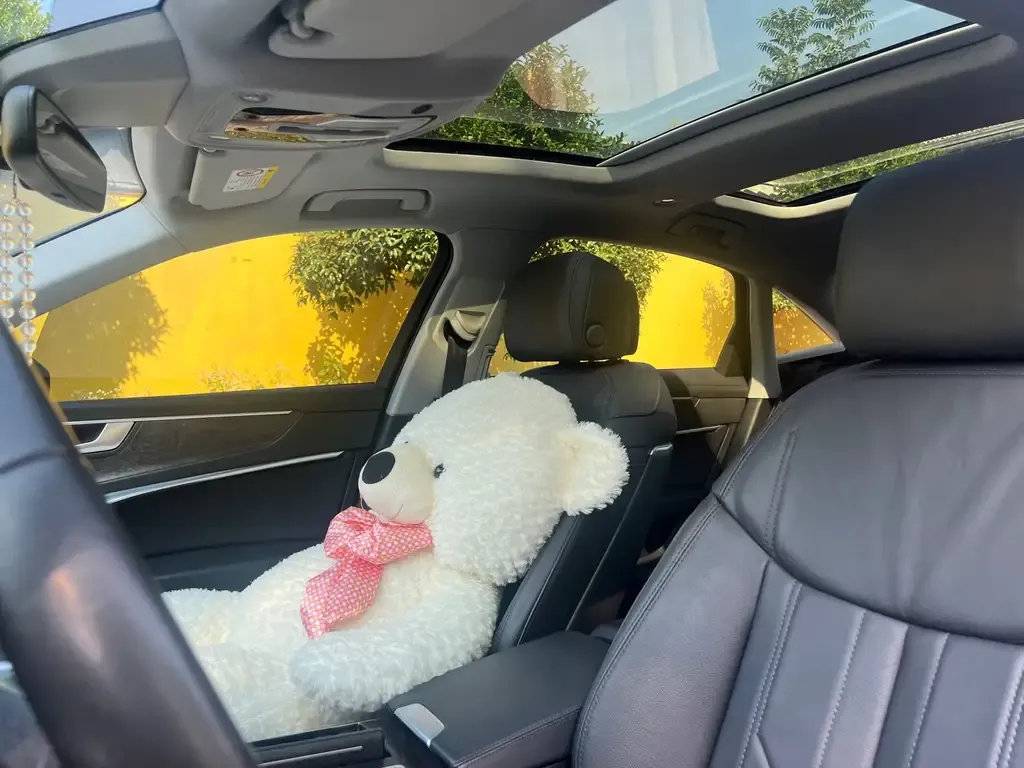 Audi A6L 2021 из CN, фото 7