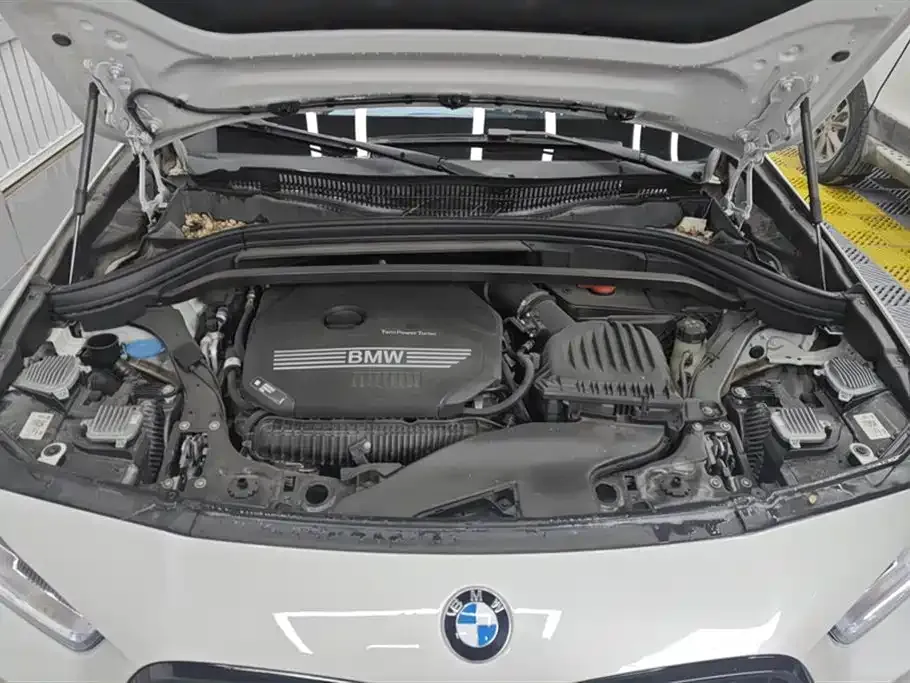 BMW X2 2023 из CN, фото 10