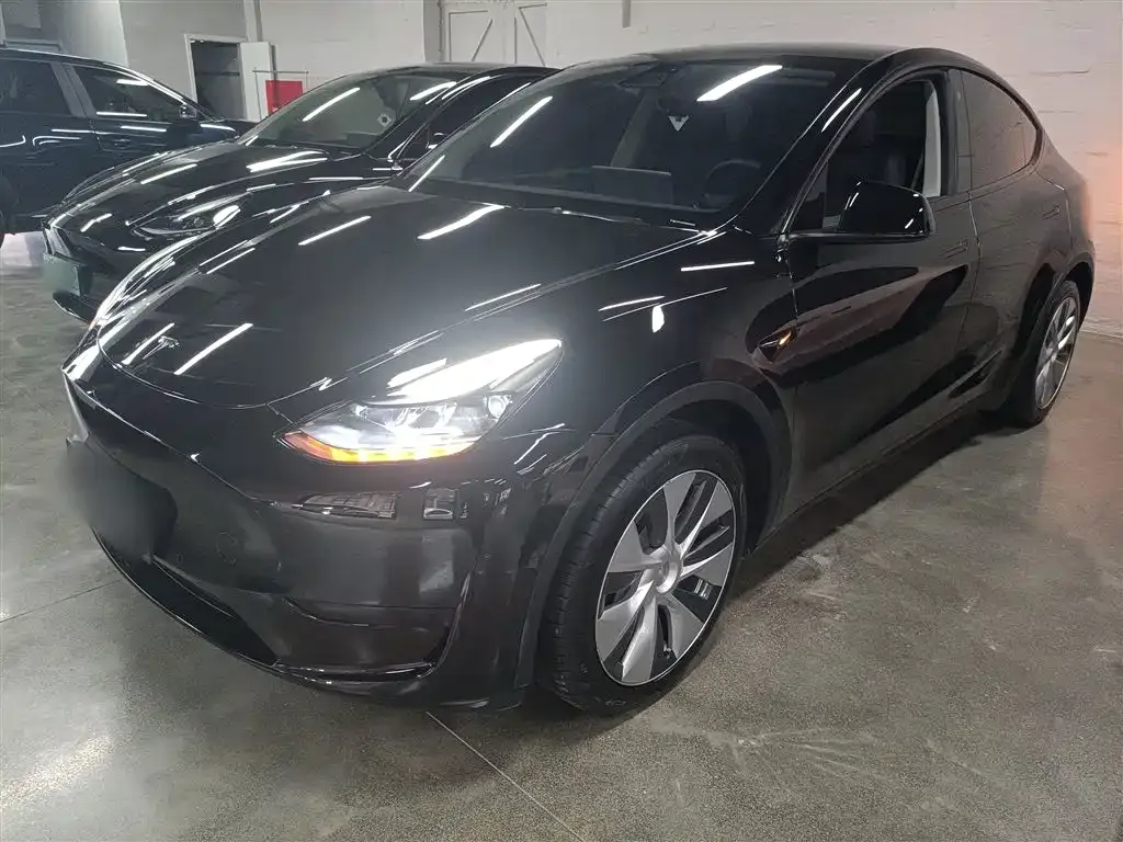 Tesla Model Y 2023 из CN, фото 5