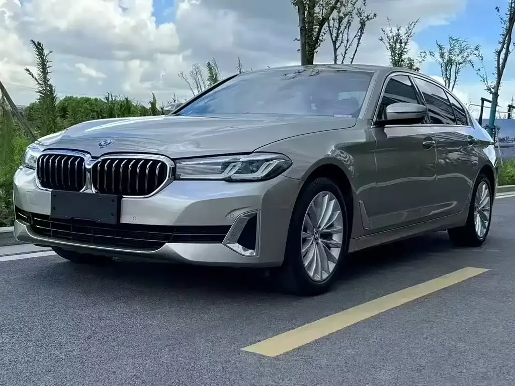 BMW 5 Series 2021 из CN, фото 1
