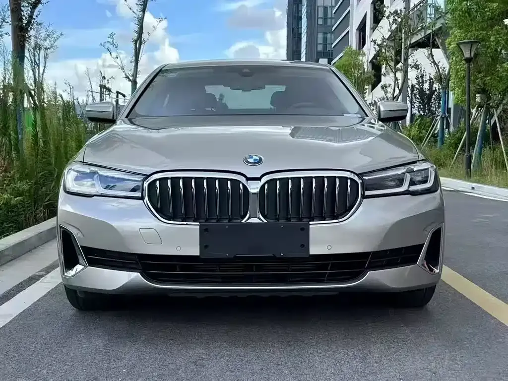 BMW 5 Series 2021 из CN, фото 2