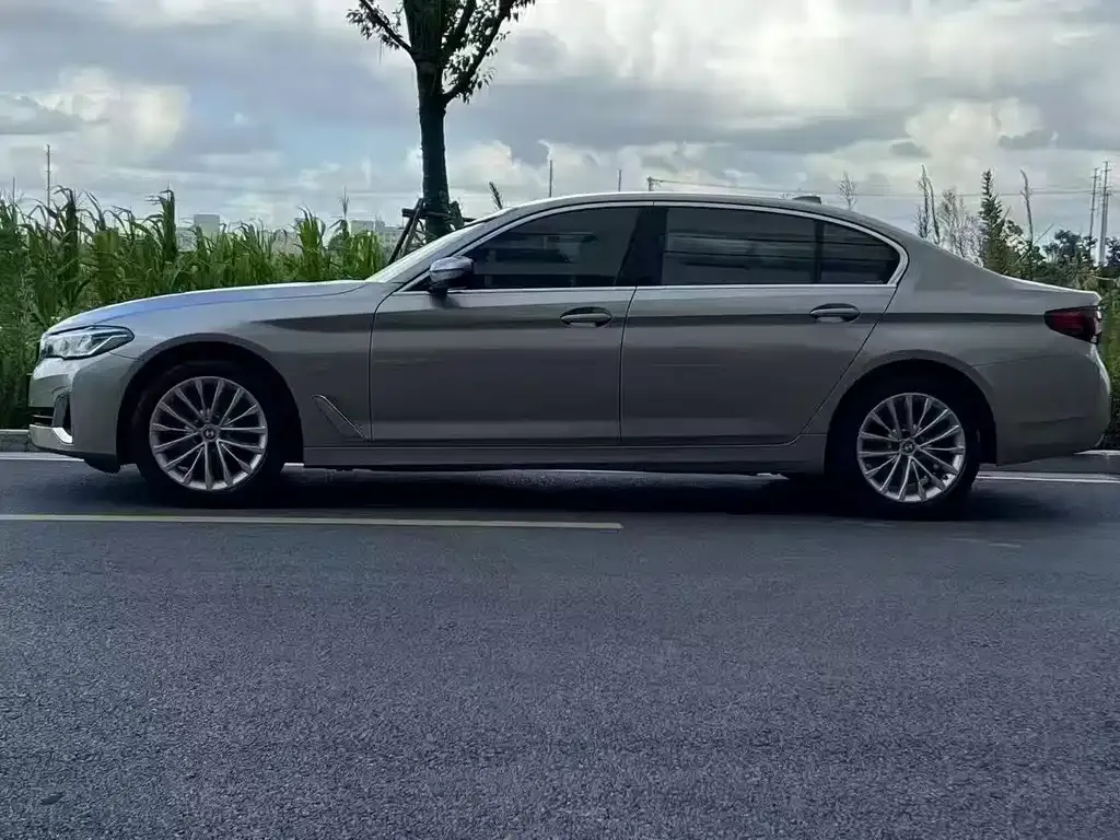 BMW 5 Series 2021 из CN, фото 3