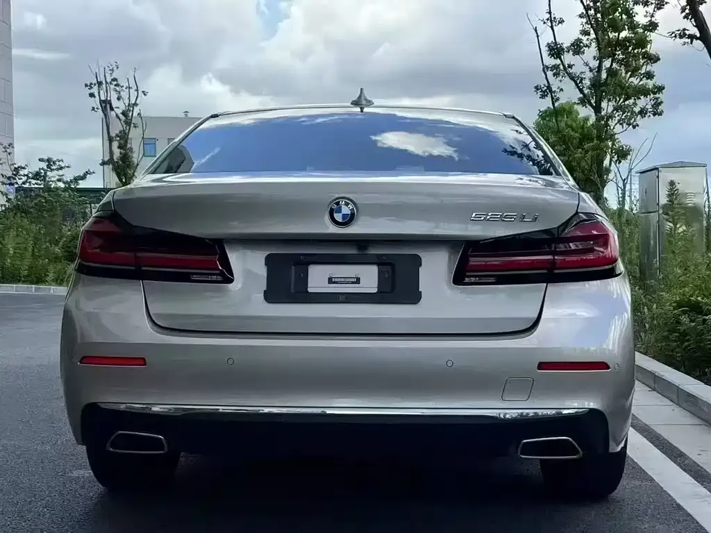 BMW 5 Series 2021 из CN, фото 4