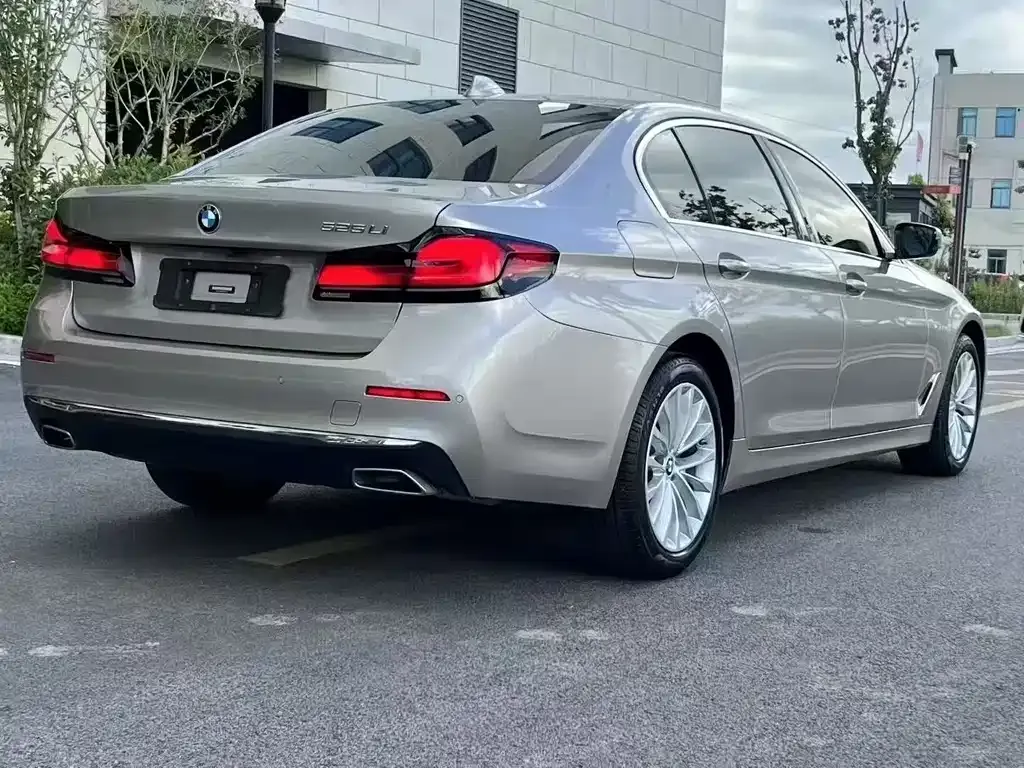 BMW 5 Series 2021 из CN, фото 5