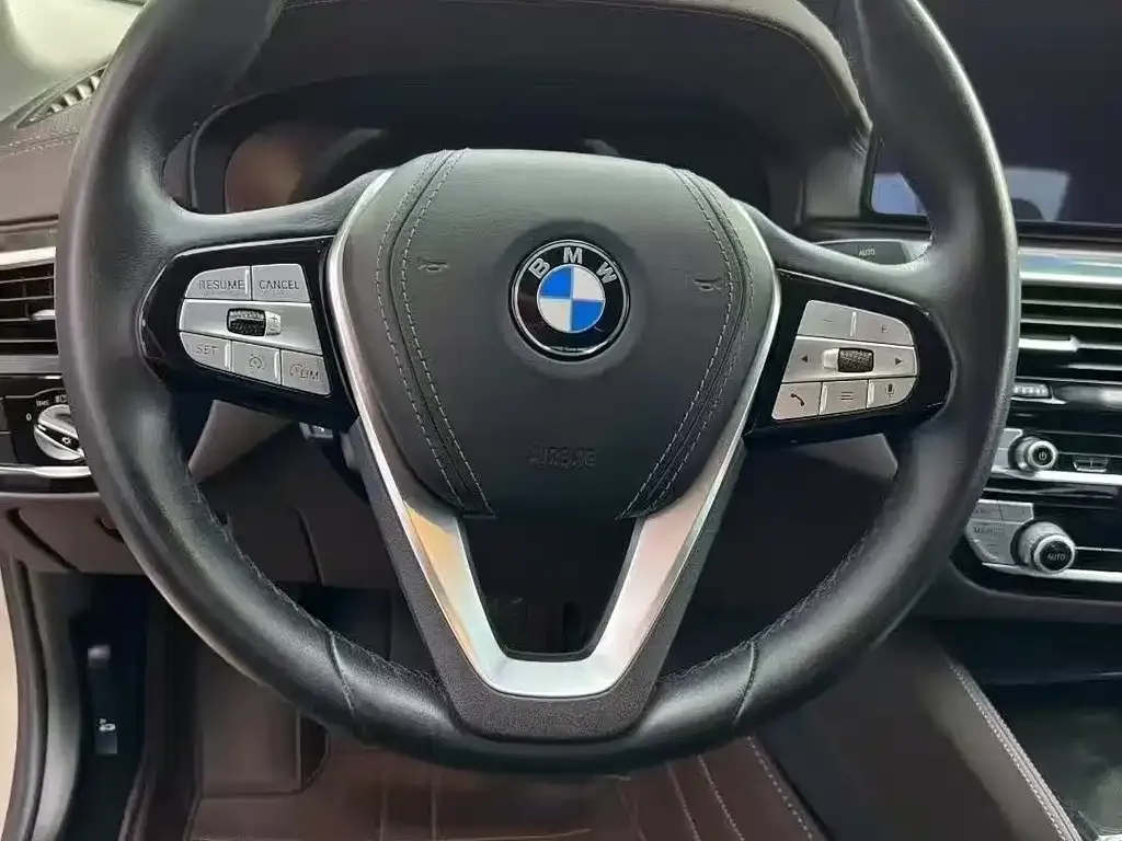 BMW 5 Series 2021 из CN, фото 7