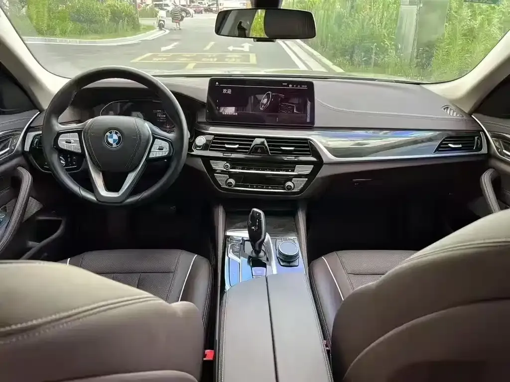 BMW 5 Series 2021 из CN, фото 8