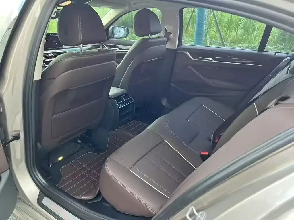 BMW 5 Series 2021 из CN, фото 9