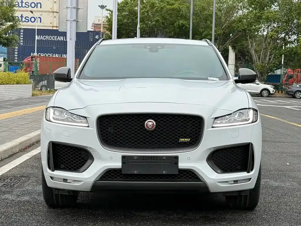 Jaguar F-PACE 2021 из CN, фото 2