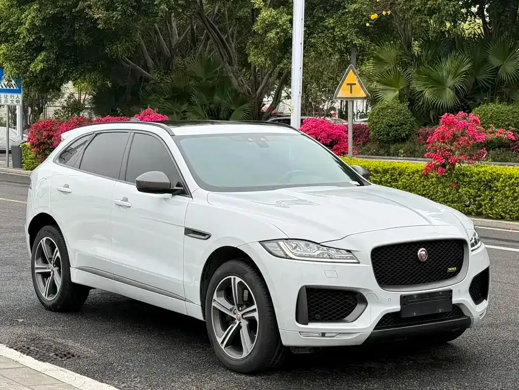 Jaguar F-PACE 2021 из CN, фото 3