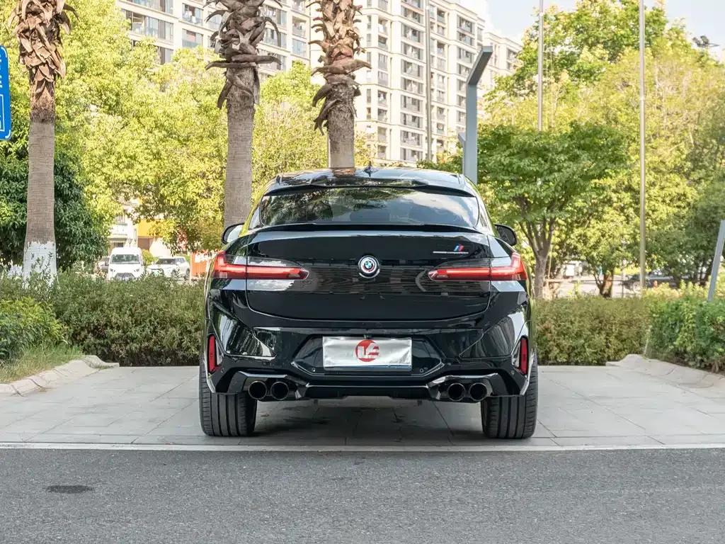 BMW X4 M 2023 из CN, фото 5