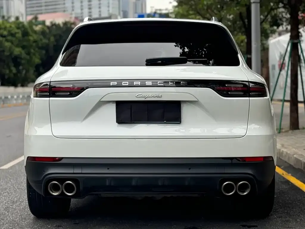 Porsche Cayenne 2021 из CN, фото 5