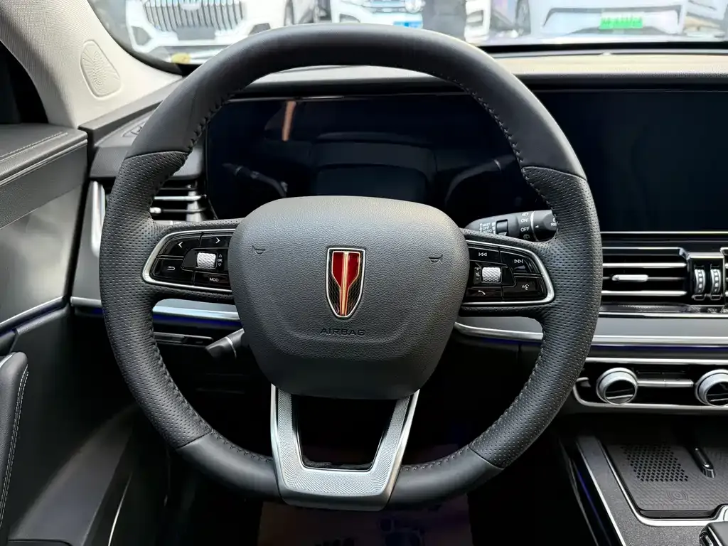 Hongqi HS5 2024 из CN, фото 8