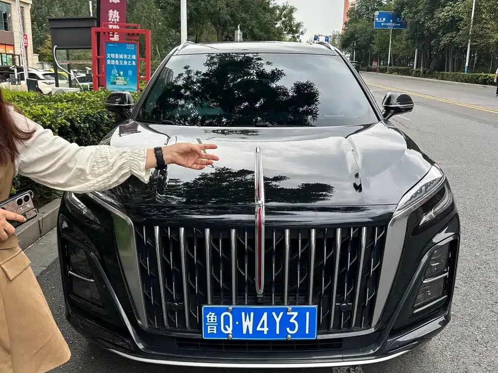 Hongqi HS3 2023 из CN, фото 2