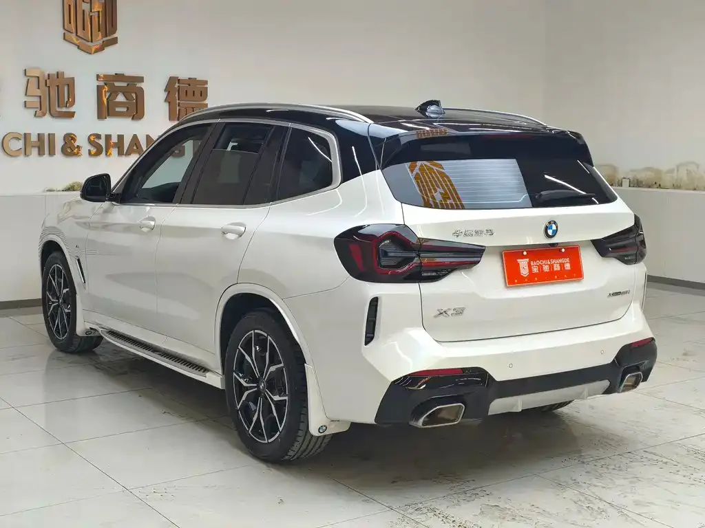 BMW X3 2024 из CN, фото 6