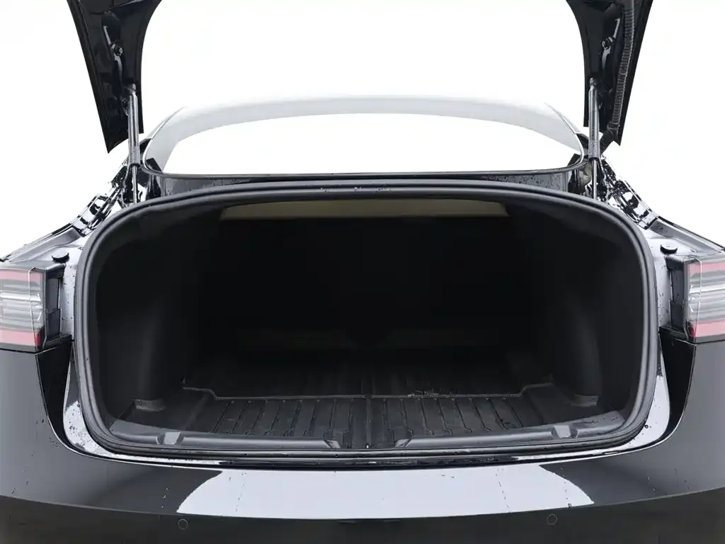 Tesla Model 3 2021 из CN, фото 6