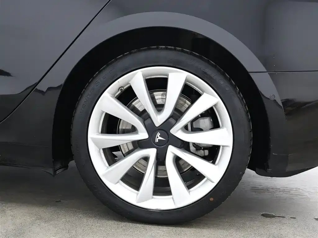 Tesla Model 3 2021 из CN, фото 7