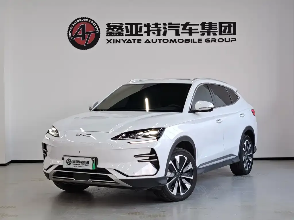 BYD PLUS New Energy 2024 из CN, фото 1
