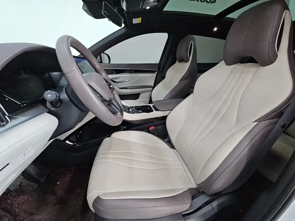 BYD PLUS New Energy 2024 из CN, фото 10