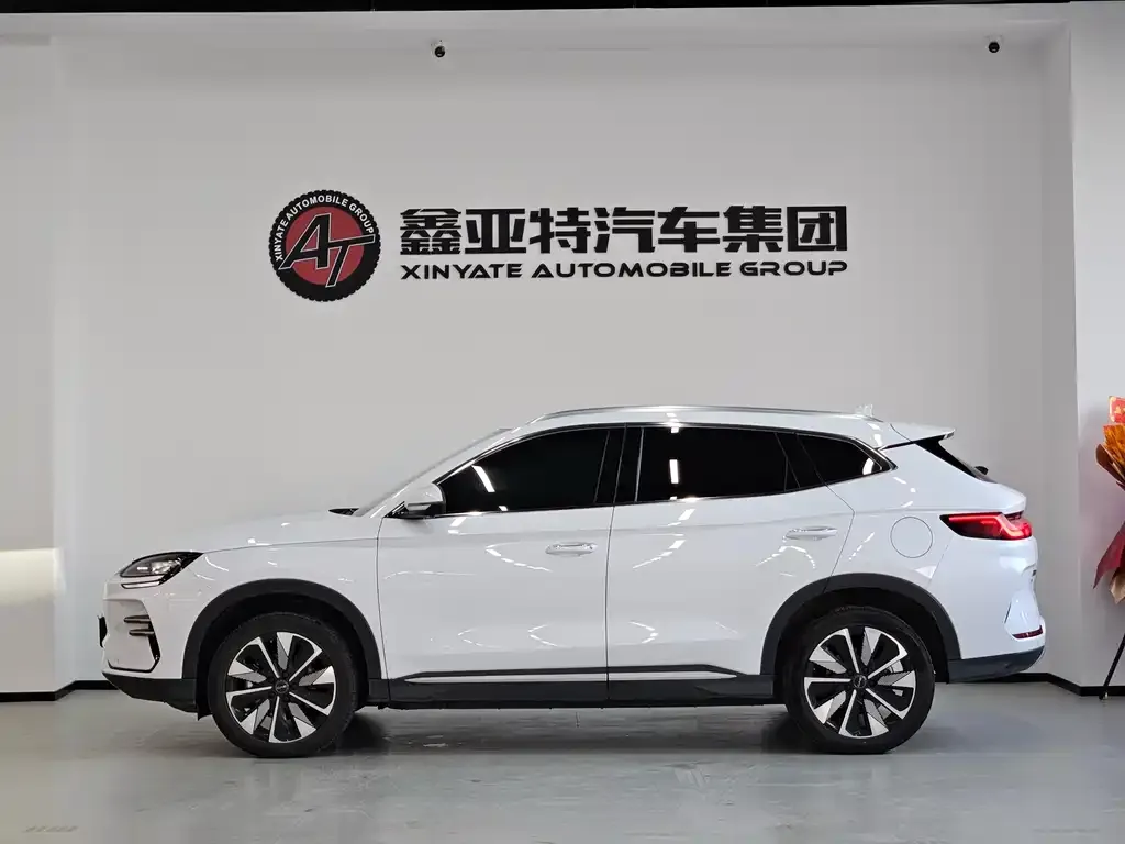 BYD PLUS New Energy 2024 из CN, фото 2