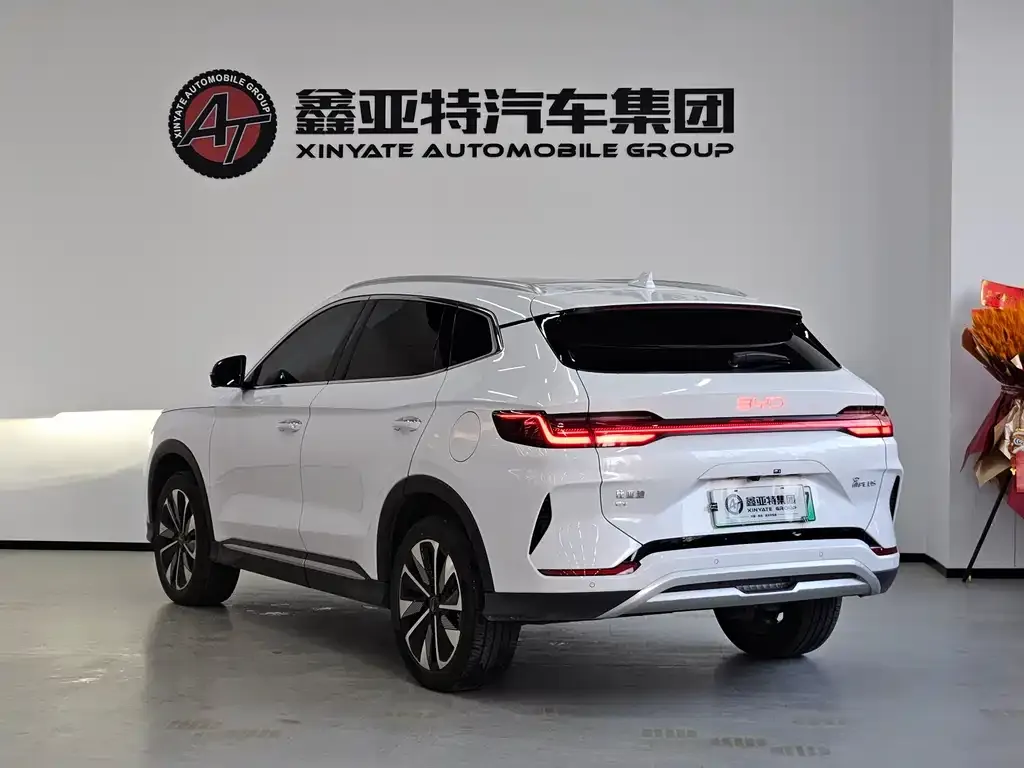 BYD PLUS New Energy 2024 из CN, фото 3