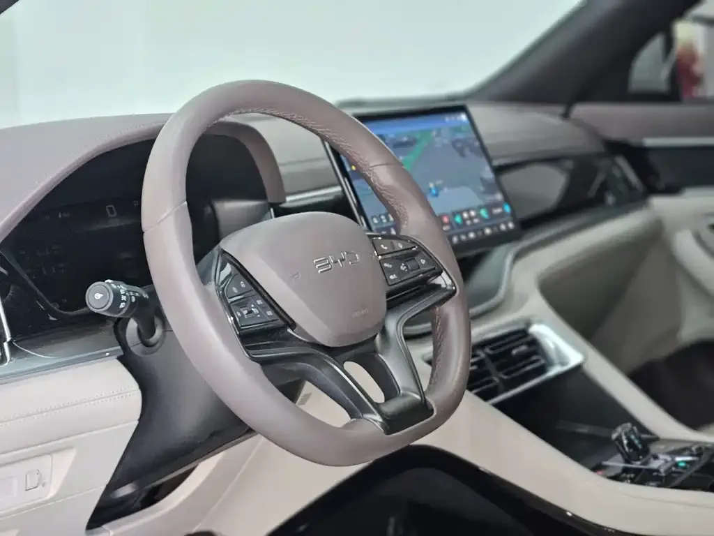 BYD PLUS New Energy 2024 из CN, фото 4