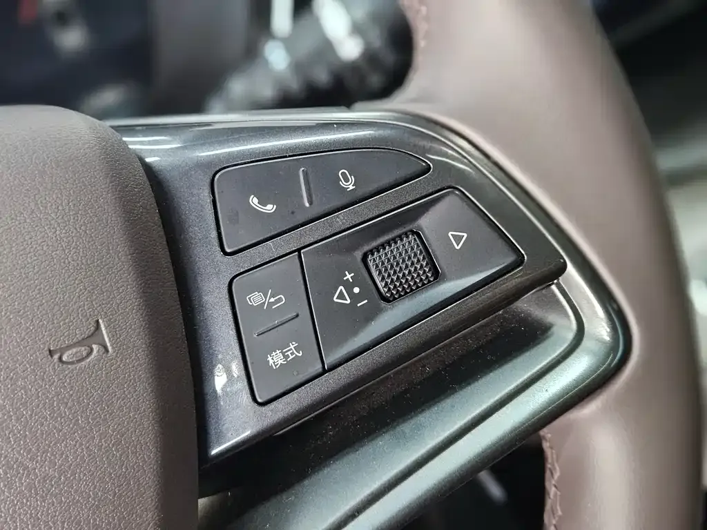 BYD PLUS New Energy 2024 из CN, фото 5
